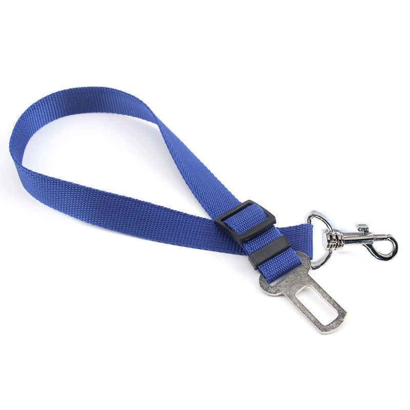 Safety Rope For In The Car.