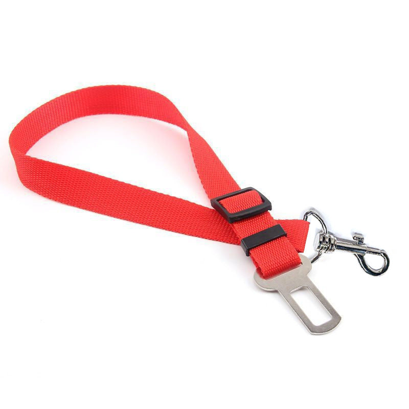 Safety Rope For In The Car.