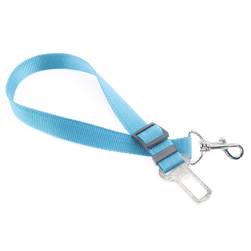 Safety Rope For In The Car.