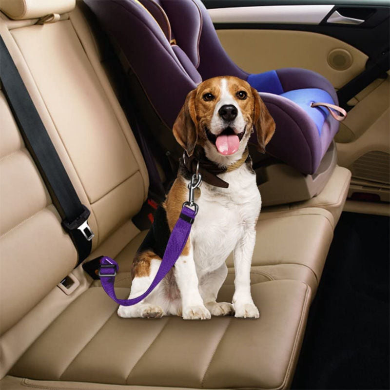 Safety Rope For In The Car.