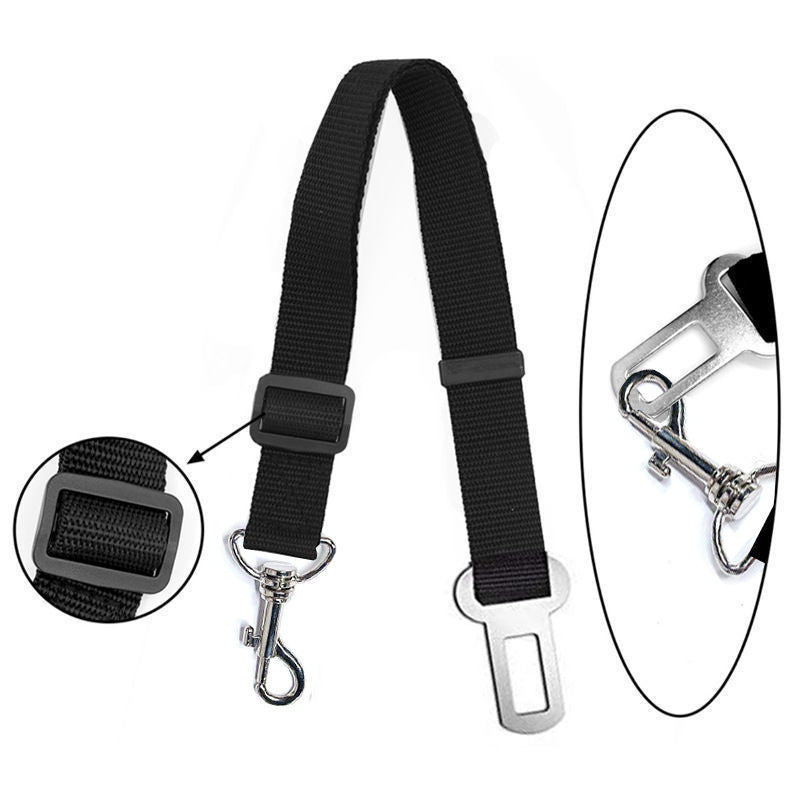 Safety Rope For In The Car.