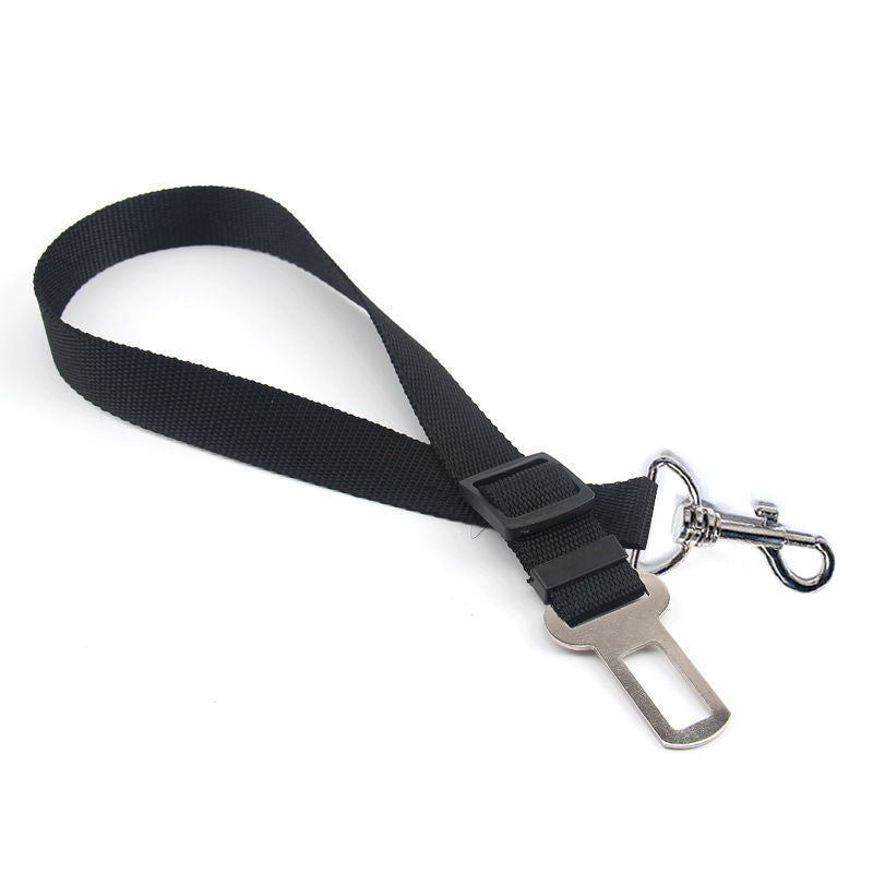 Safety Rope For In The Car.