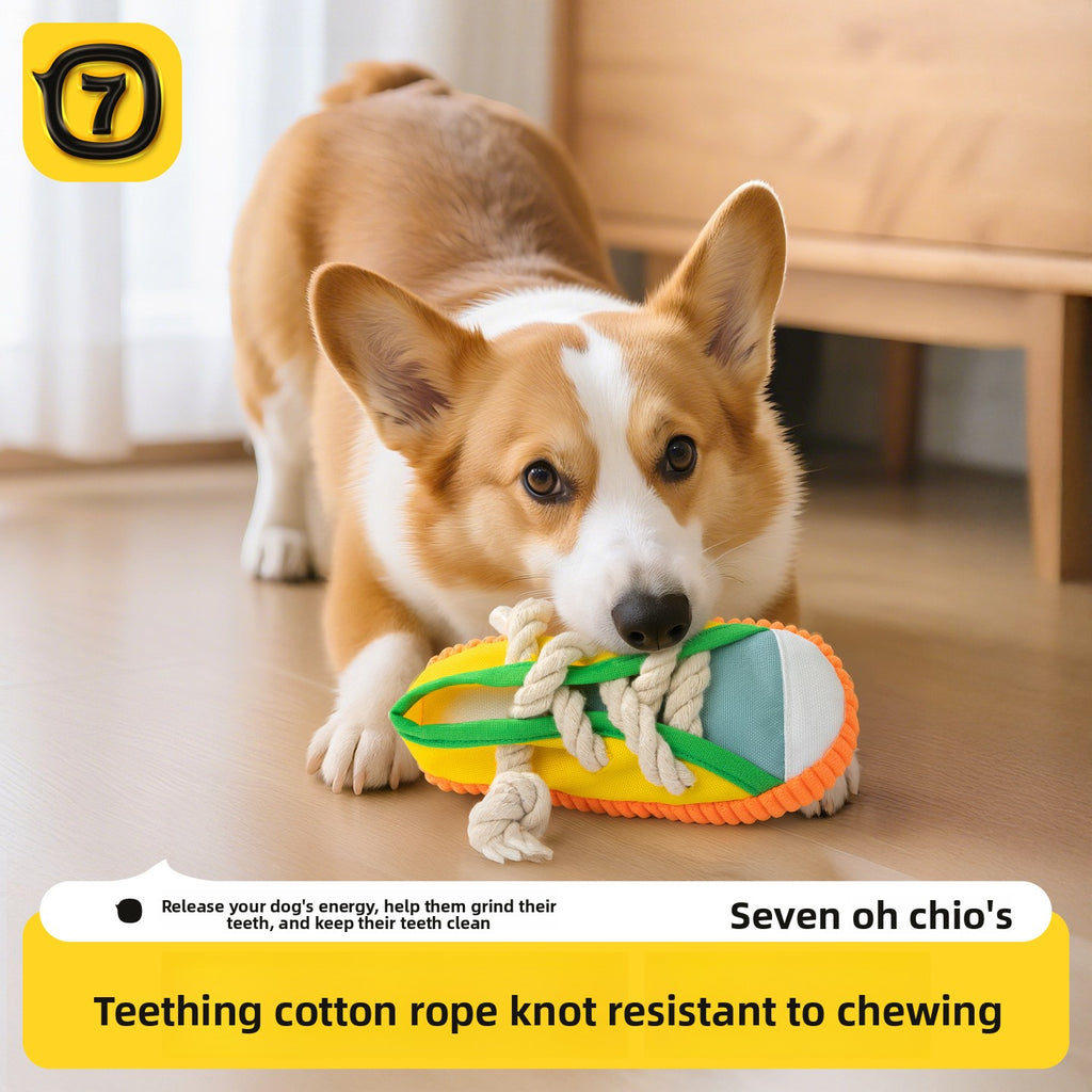 Shoe Toy With Sound.