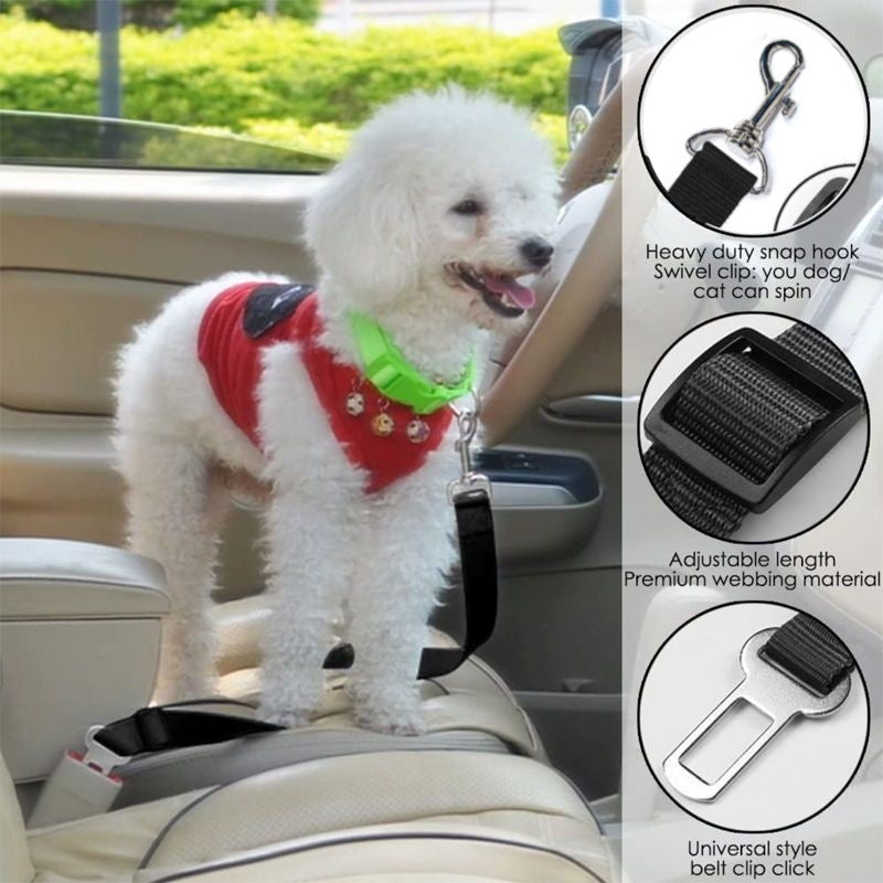 Safety Rope For In The Car.
