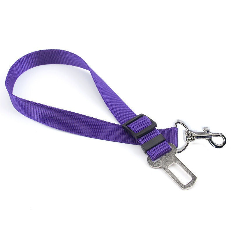 Safety Rope For In The Car.