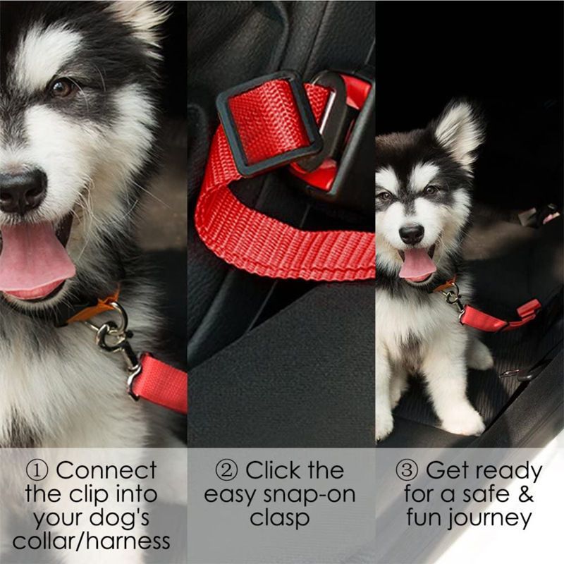 Safety Rope For In The Car.